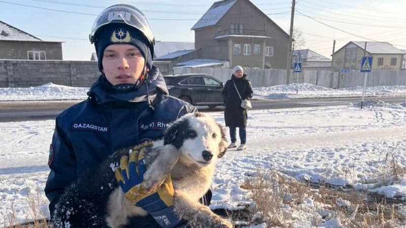 Фото ДЧС Карагандинской области
