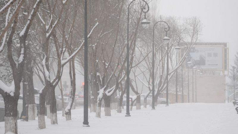 Фото © Tengrinews.kz / Маржан Куандыкова