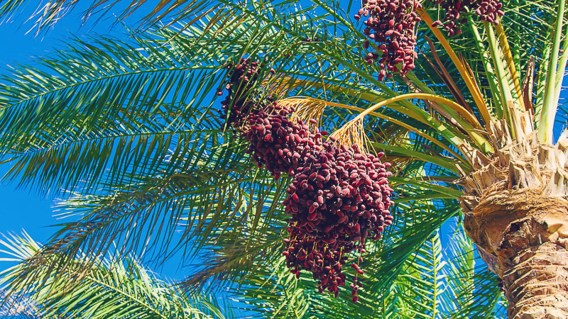 Фото:depositphotos.com