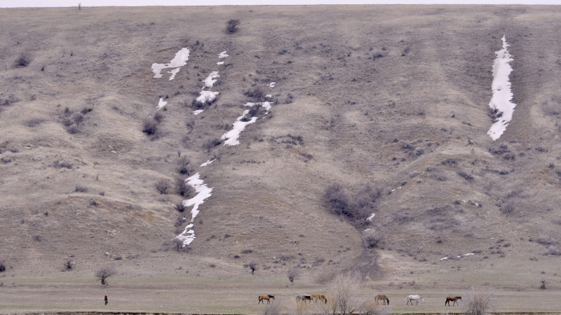 Фото © Tengrinews.kz / Турар Казангапов