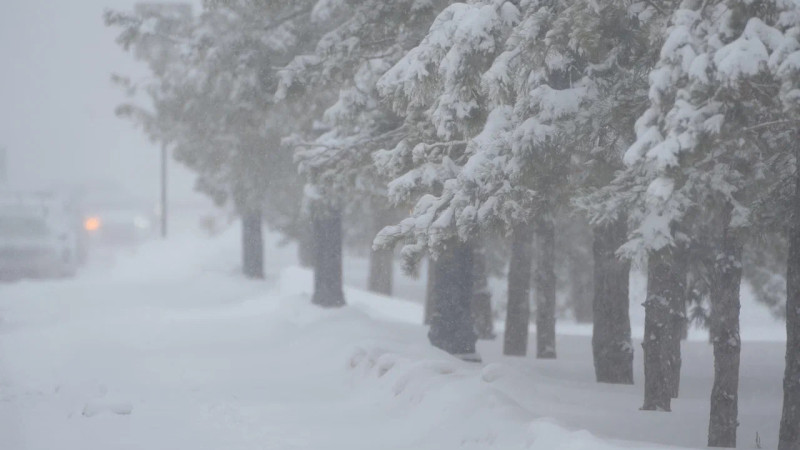 Фото © Tengrinews.kz / Маржан Куандыкова