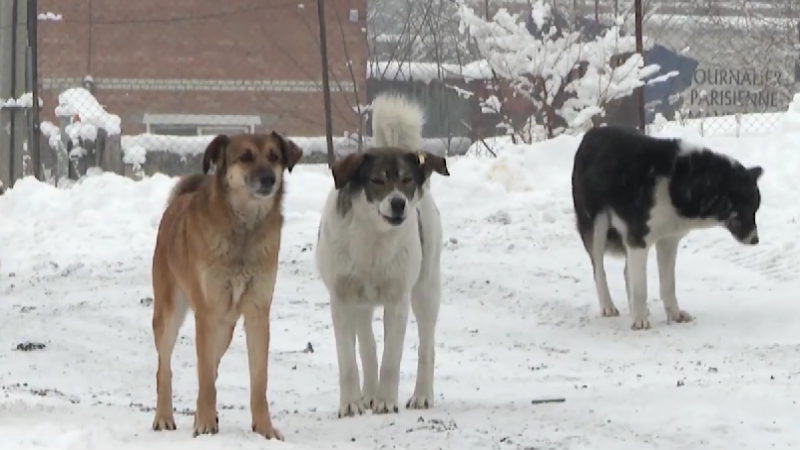 Кадры из видео