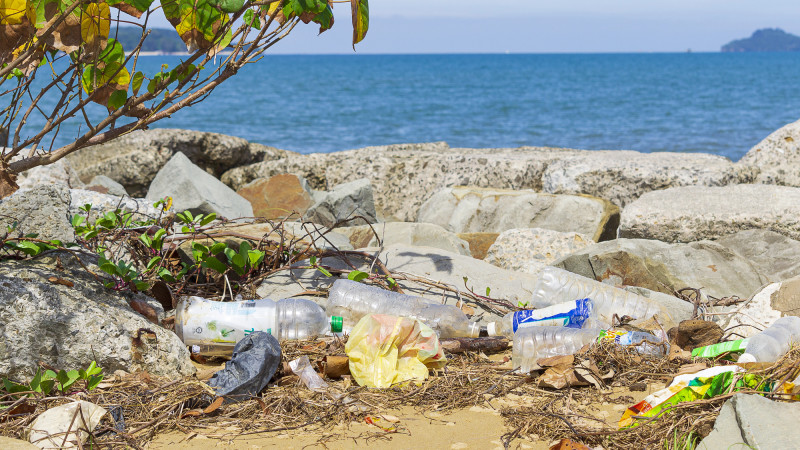 Фото:depositphotos.com