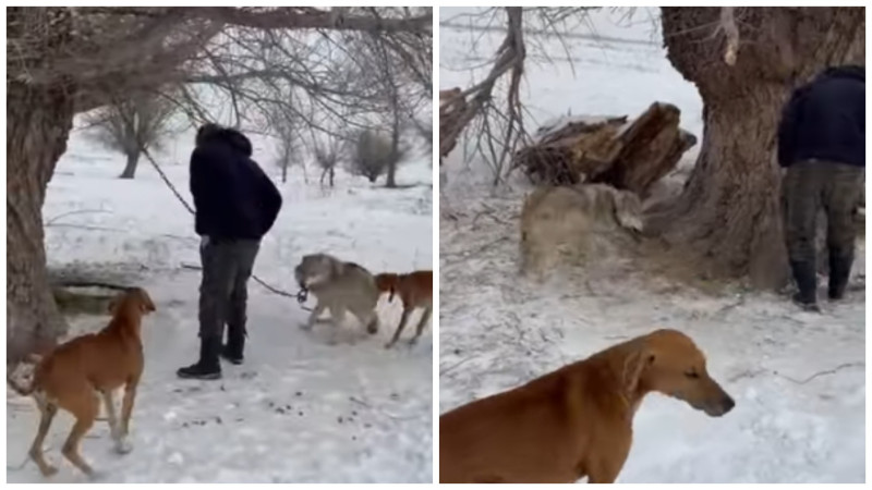 Кадры из видео