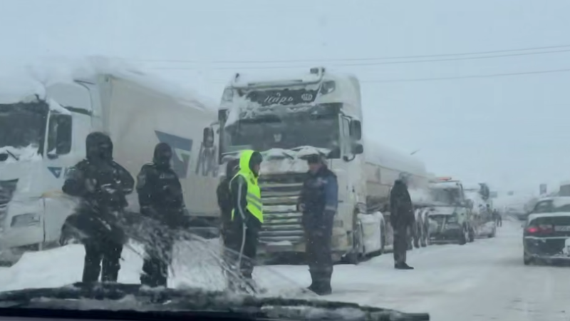 Кадр из видео: ДП Жамбылской области
