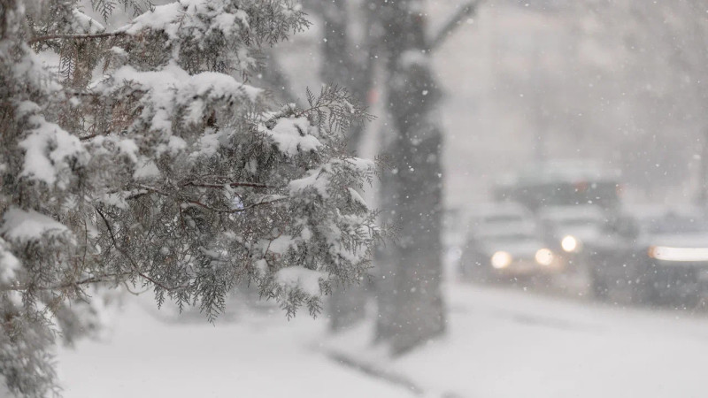 Фото © Tengrinews.kz