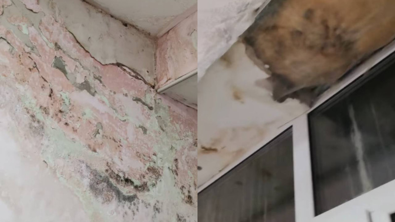 Скриншот: видео взято у пользователя evangelina3112vladimirovna в Threads