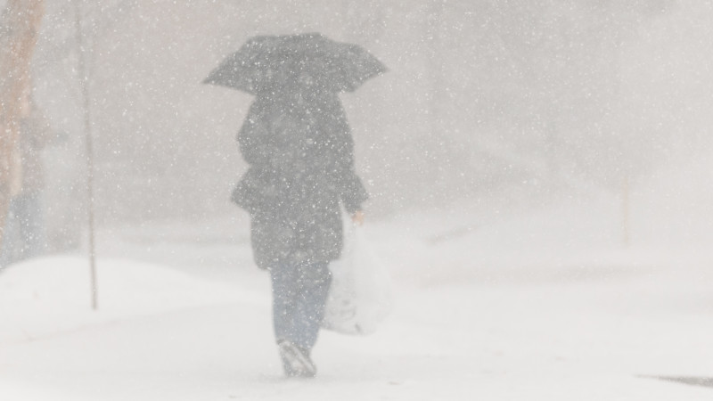 Фото © Tengrinews.kz / Алихан Сариев