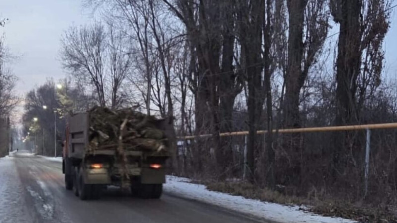 Кадр из видео