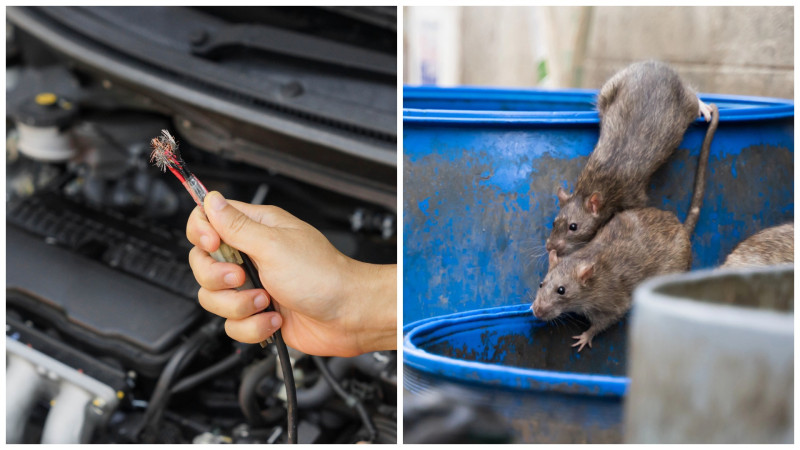 Фото:depositphotos.com