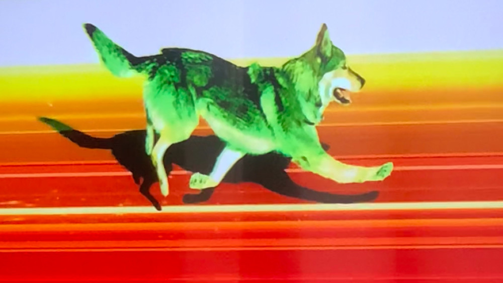 Кадры из видео