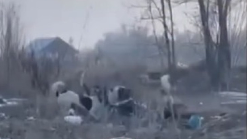 Кадр из видео