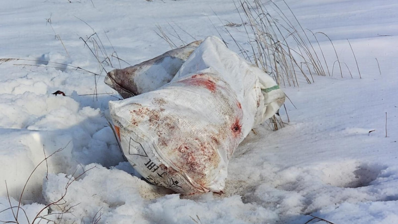 Фото из соцсетей