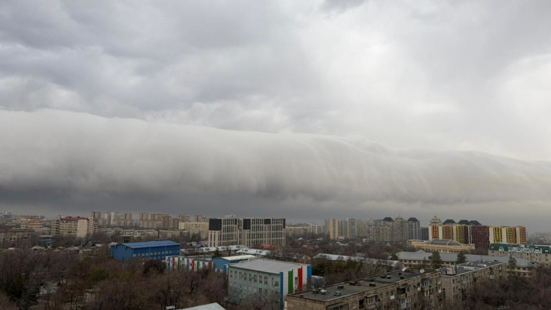 Фото из социальных сетей