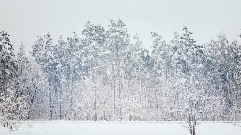 Фото:depositphotos.com