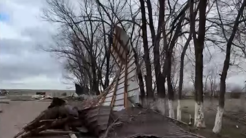 Кадр из видео / 24.kz