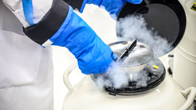 Фото:depositphotos.com