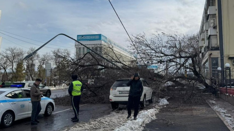 Фото очевидцев