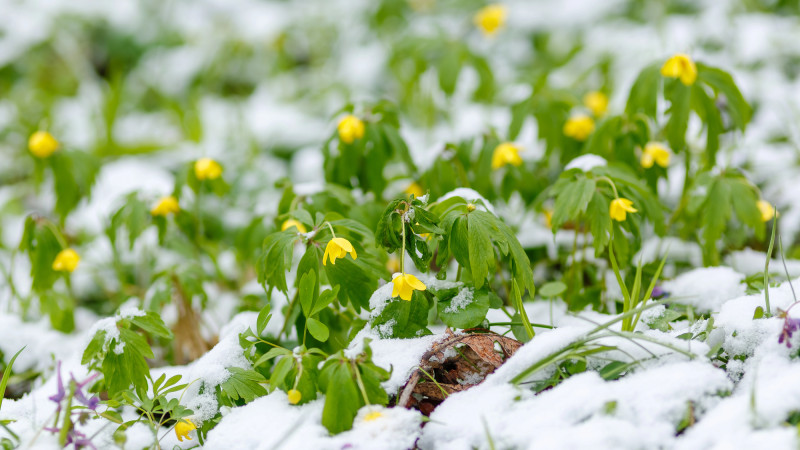 Фото: depositphotos.com