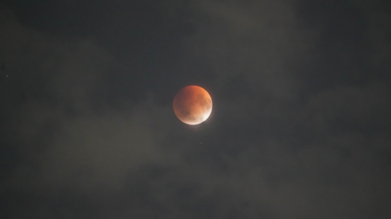 Фото: Tengrinews/Маржан Куандыкова