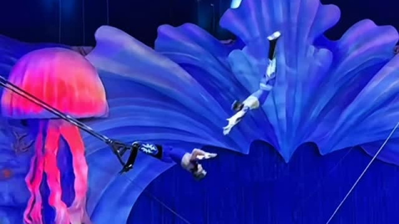 Кадр из видео