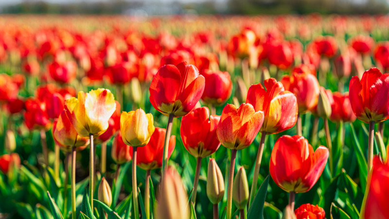 Фото:depositphotos.com