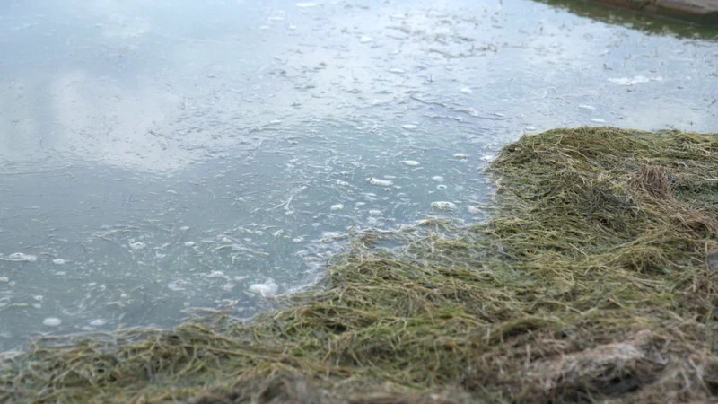 Фото © Tengrinews.kz