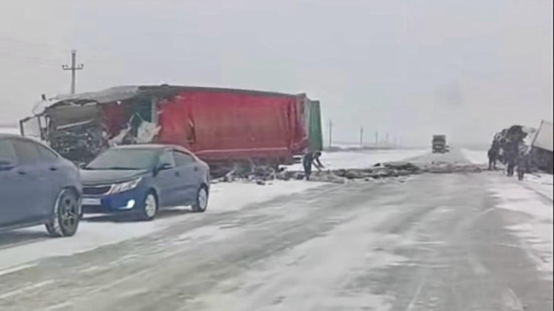 Фото из соцсетей