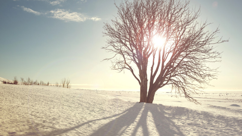 Фото:depositphotos.com