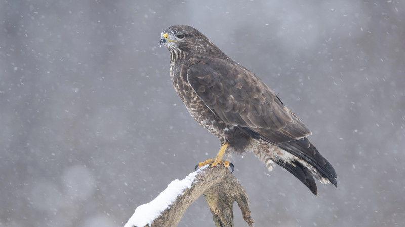 Фото:depositphotos.com