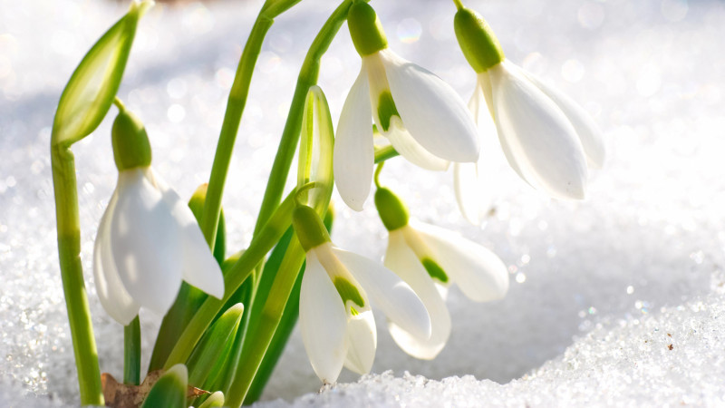 Фото:depositphotos.com