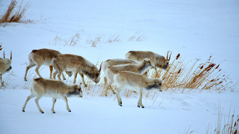 Фото:depositphotos.com