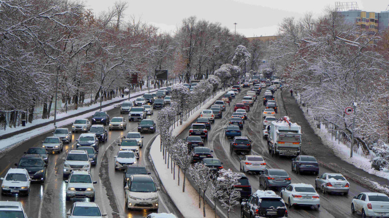 Фото © Tengrinews.kz / Болат Айтмолда