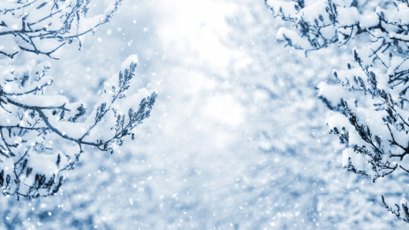 Фото:depositphotos.com