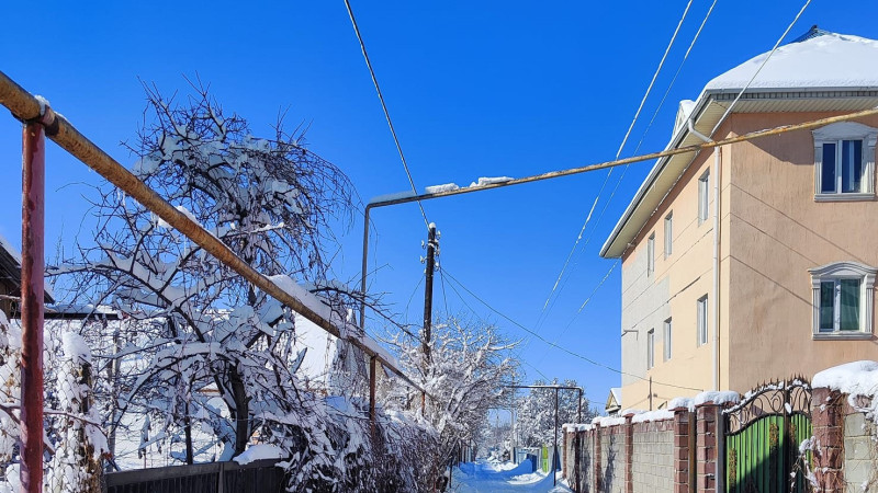 Фото: ©️ Tengrinews.kz / Игорь Неволин