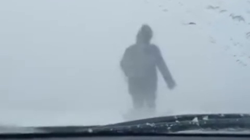 Кадр из видео