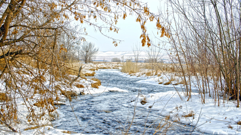 Фото:depositphotos.com