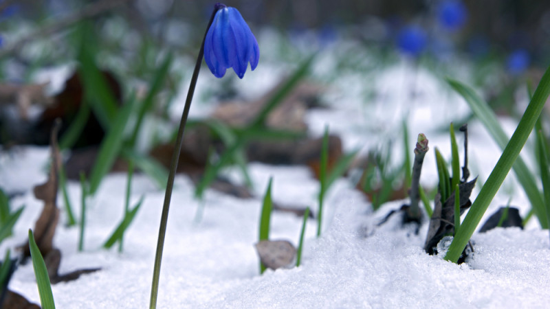 Фото:depositphotos.com