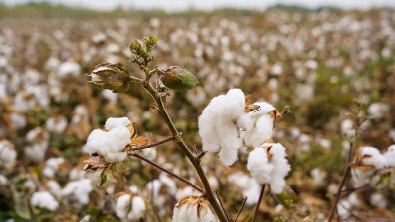 Фото © Tengrinews.kz