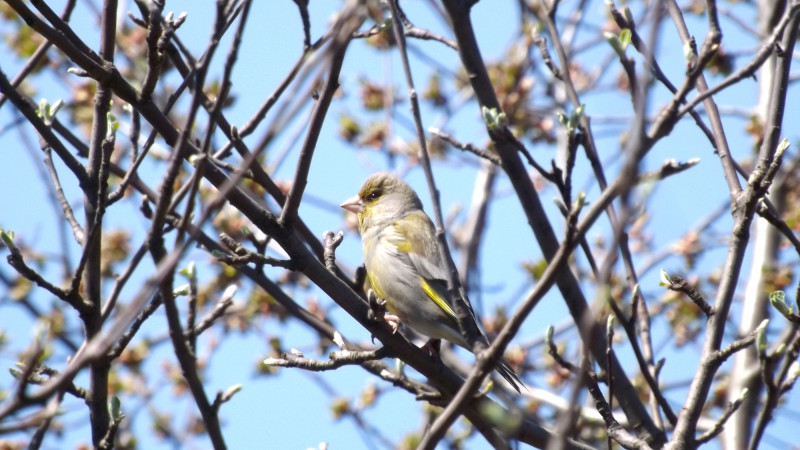 Фото:depositphotos.com