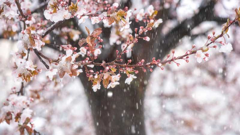 Фото:depositphotos.com