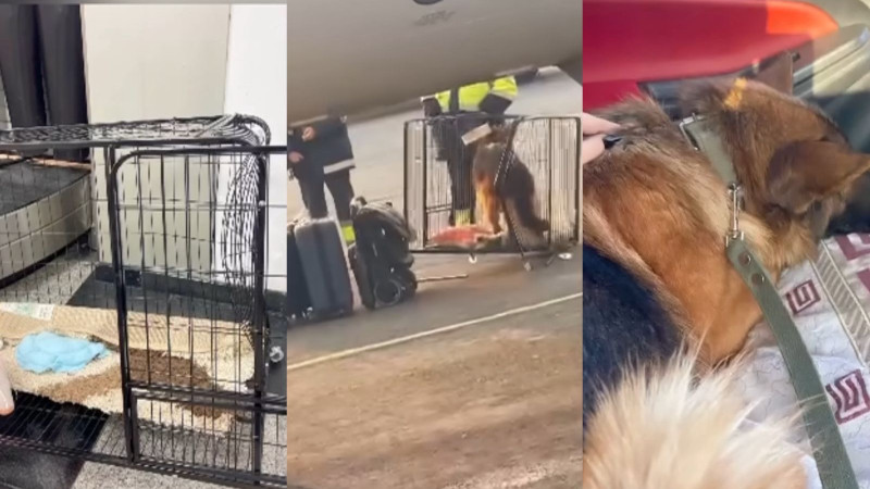 Cкриншот: Threads/@yessimkhanova_a