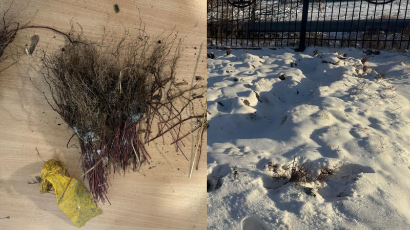 Фото предоставлено прокуратурой Тимирязевского района