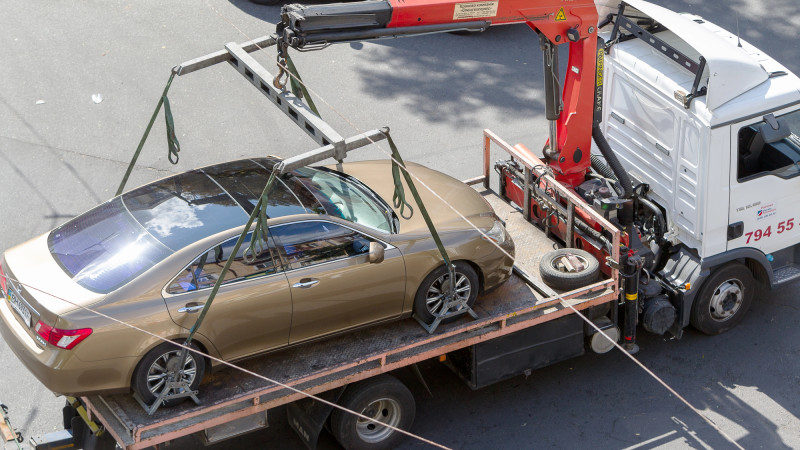 Фото:depositphotos.com/ ALesik