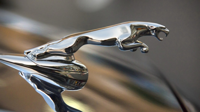 Фото: Steve_Allen/depositphotos.com