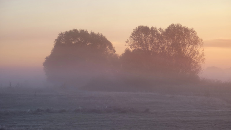 Фото:depositphotos.com