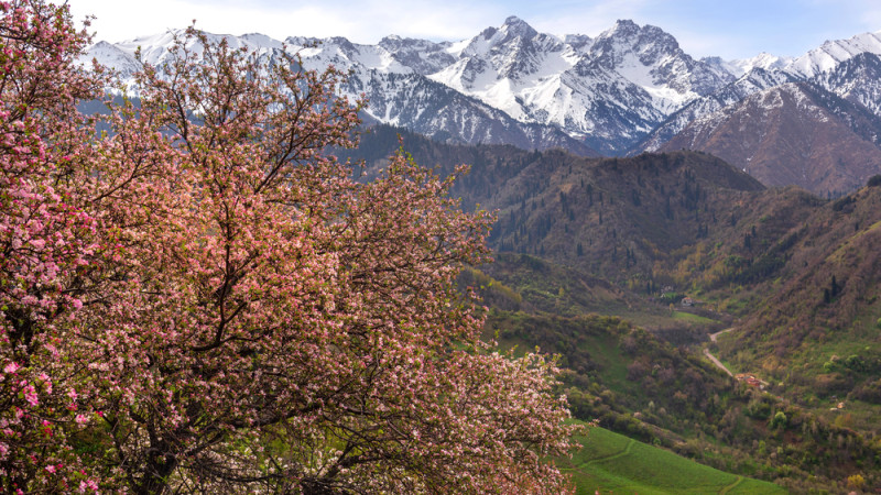 Фото:depositphotos.com