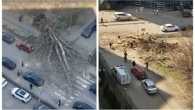 Кадры из видео