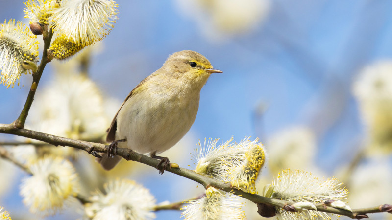 Фото: depositphotos.com