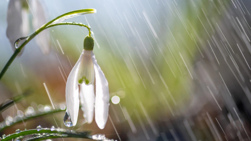 Фото:depositphotos.com